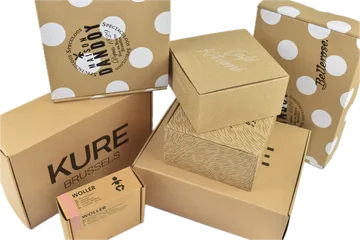 Doręczenie ekspresowe Pudełka w Zwijnaarde BE