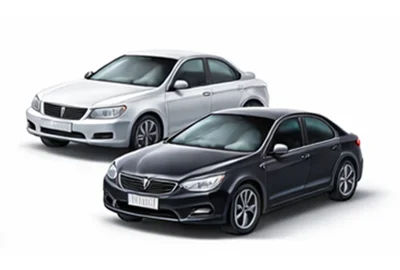 Dostawa ekspresowa Samochody w Zwijnaarde Belgia